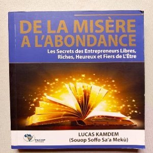 BOOK FROM MISERY TO PLENTY